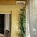 Διαμέρισμα και δωμάτια Tadic, ενοικιαζόμενα δωμάτια στο μέρος Kumbor, Montenegro - viber_image_2022-06-19_20-44-10-543